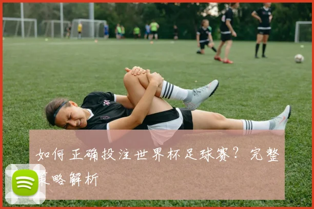 如何正确投注世界杯足球赛？完整策略解析