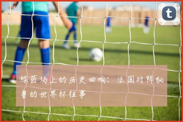 绿茵场上的历史回响：法国对阵秘鲁的世界杯往事