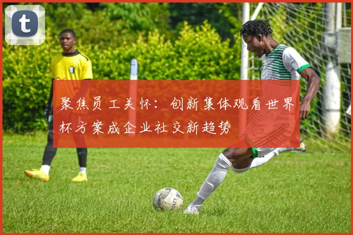 聚焦员工关怀：创新集体观看世界杯方案成企业社交新趋势